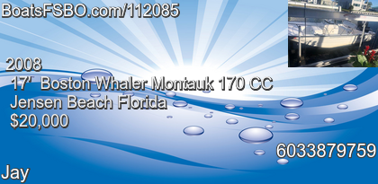 Boston Whaler Montauk 170 CC
