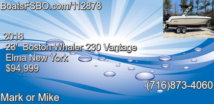 Boston Whaler 230 Vantage